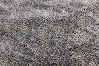 Silver Grey Leopard Velvet Fabric Mini Black Animal Spots