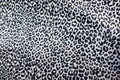 Silver Grey Leopard Velvet Fabric Mini Black Animal Spots