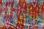Red Multicolour Velvet Fabric Tie Dye Swirls Leopard Spots