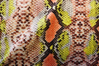 Snake Print Velvet Fabric Brown Yellow Orange Animal Design