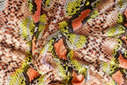 Snake Print Velvet Fabric Brown Yellow Orange Animal Design
