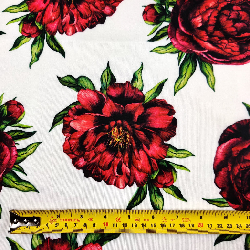 Red Peony