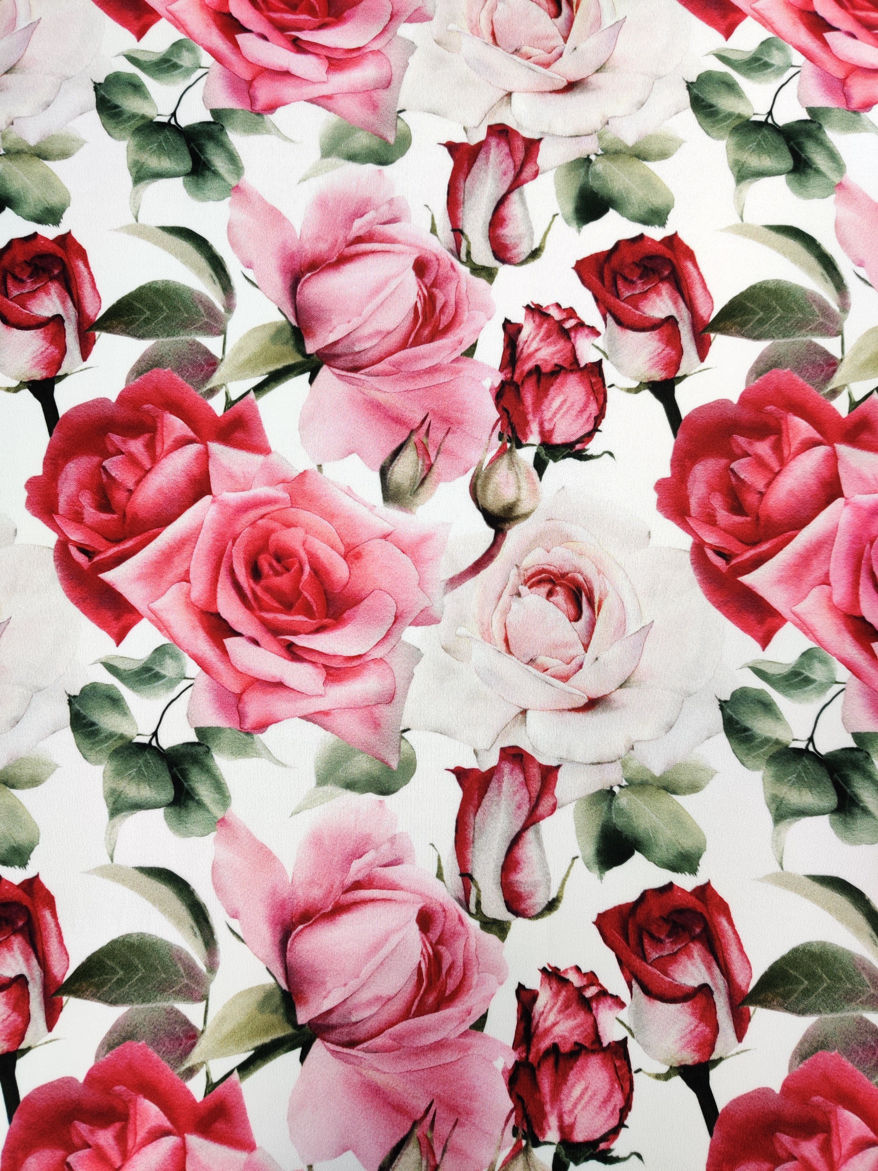 Rose World