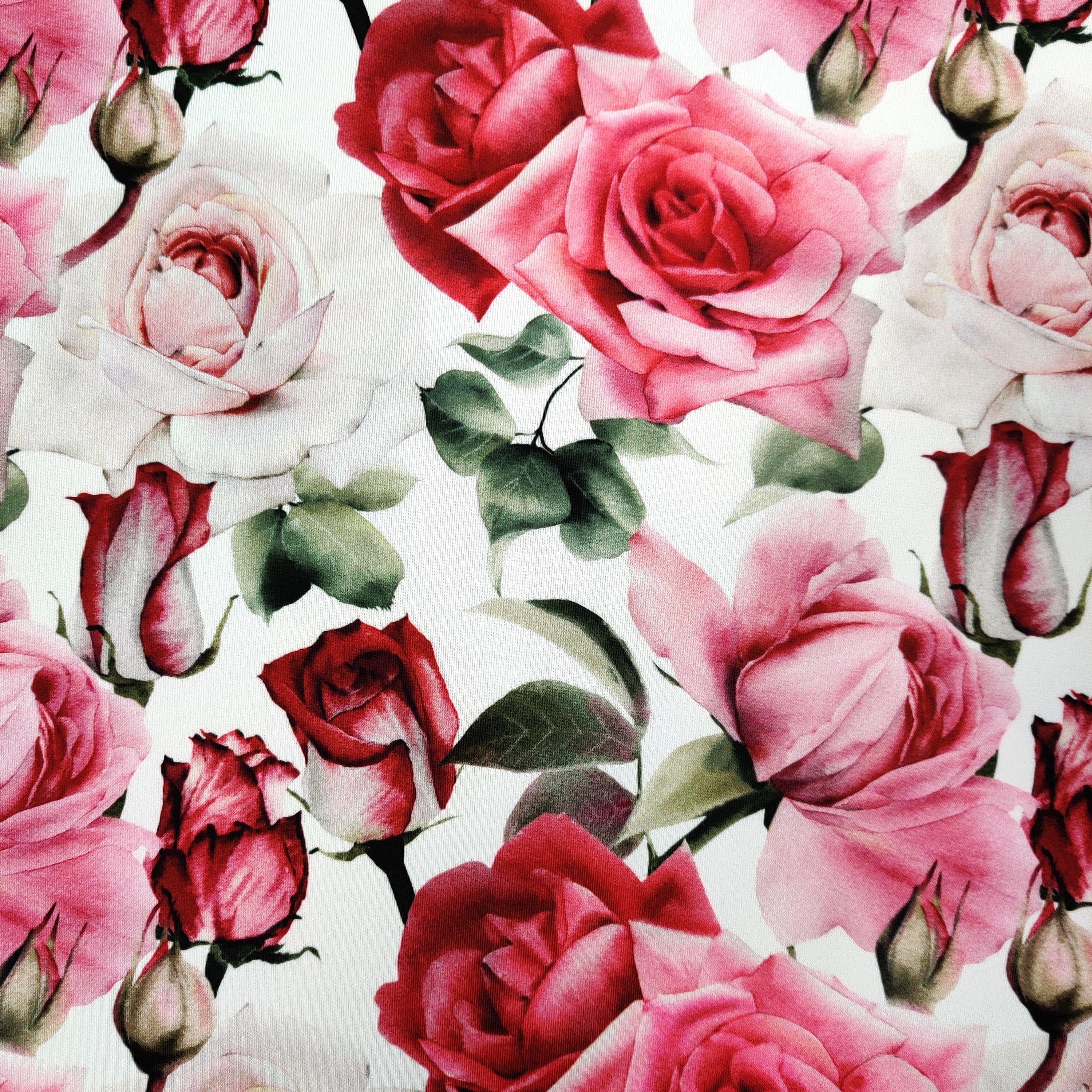 Rose World