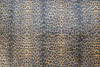 Dark Leopard Animal Print Velvet