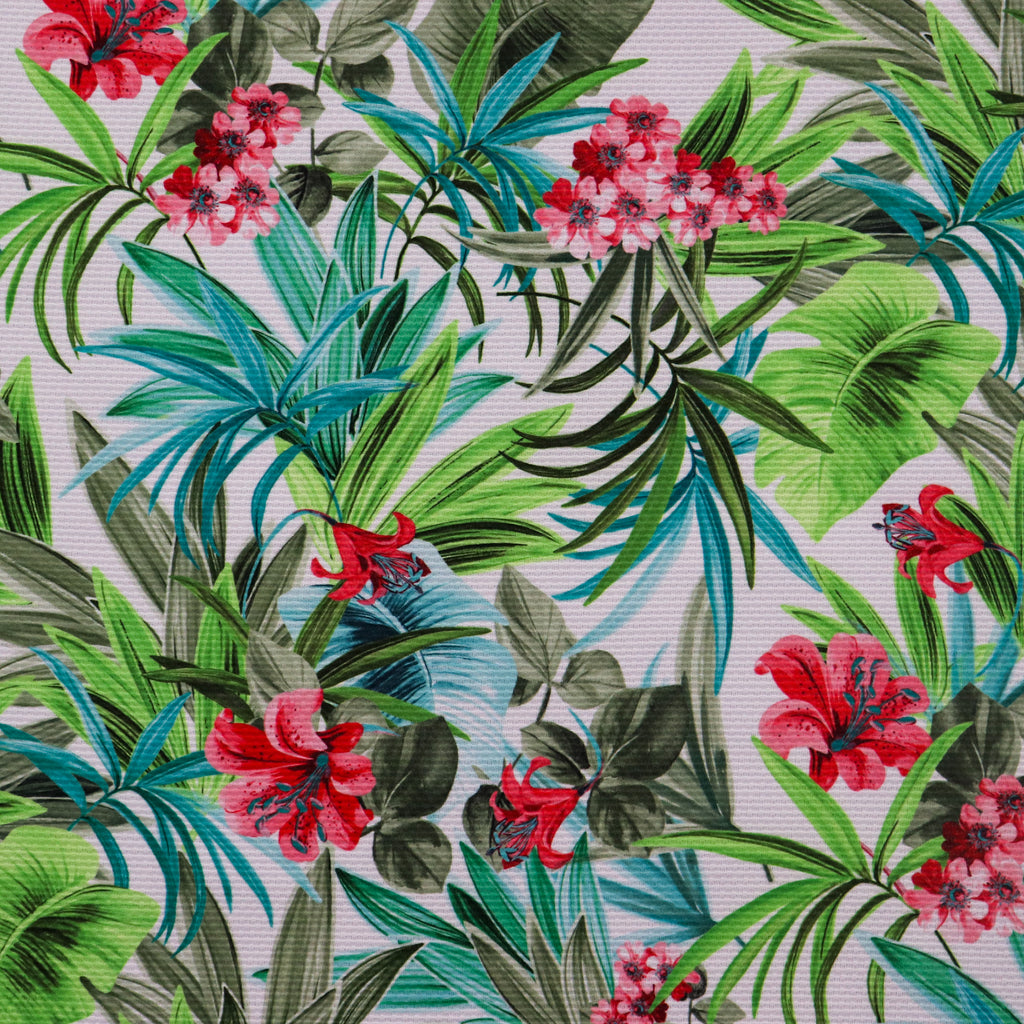 Tropical Oasis Bloom