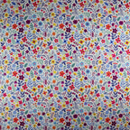 Ivory Ditsy Floral