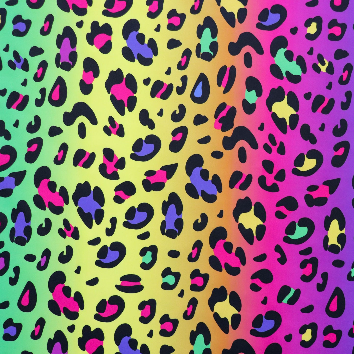 Rainbow Hue Leopard