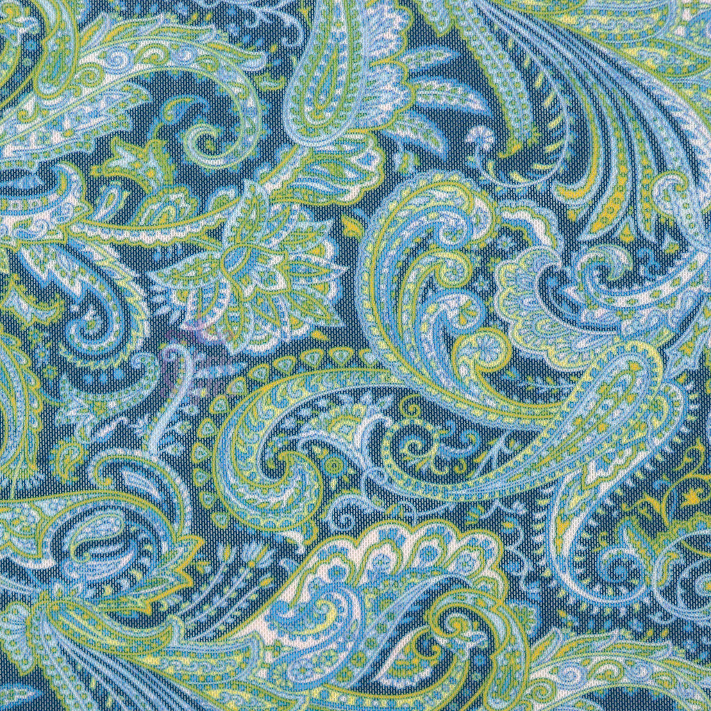 Blue Paisley Power Mesh