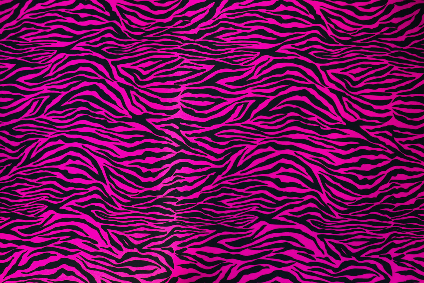 Pink Zebra