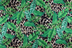 Tropical Leopard