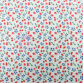 Mint Cherries Power Mesh Fabric