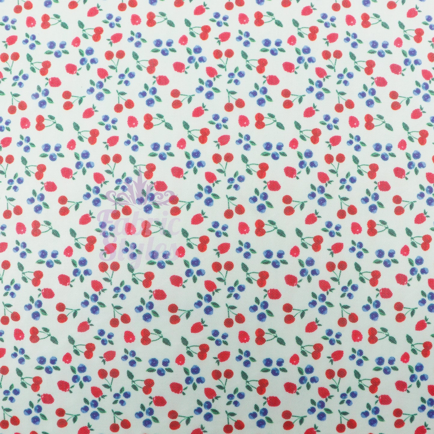 Mint Cherries Power Mesh Fabric