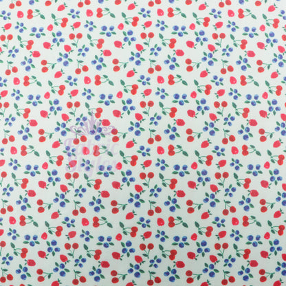 Mint Cherries Power Mesh Fabric