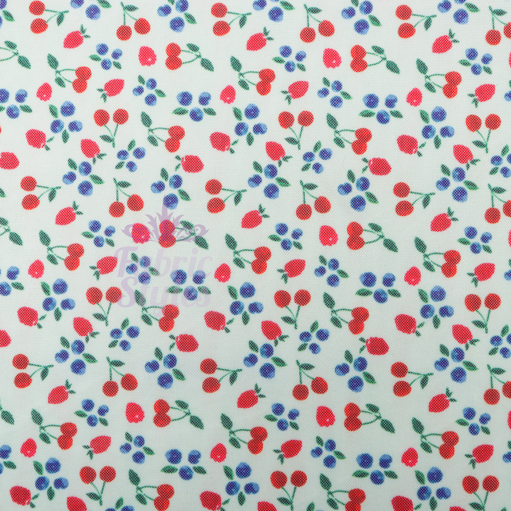 Mint Cherries Power Mesh Fabric