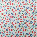 Mint Cherries Power Mesh Fabric
