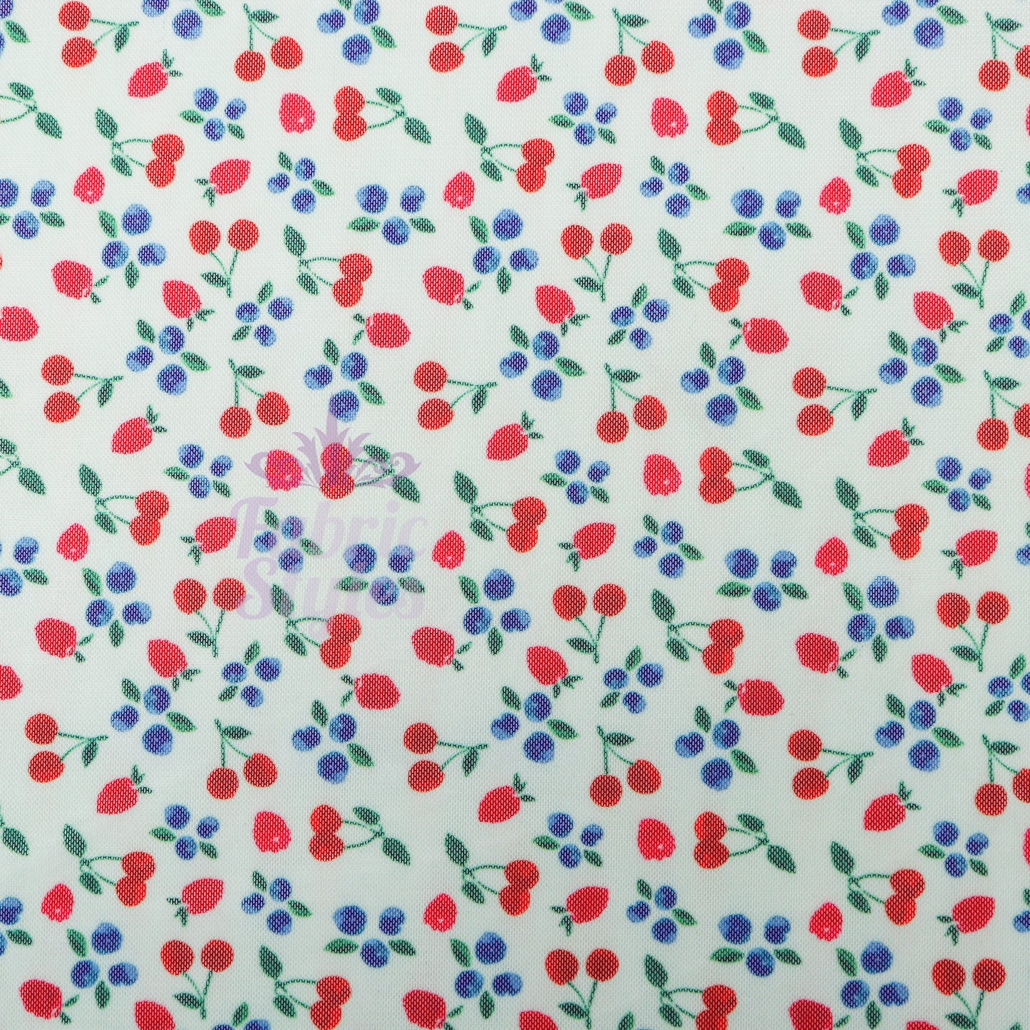 Mint Cherries Power Mesh Fabric