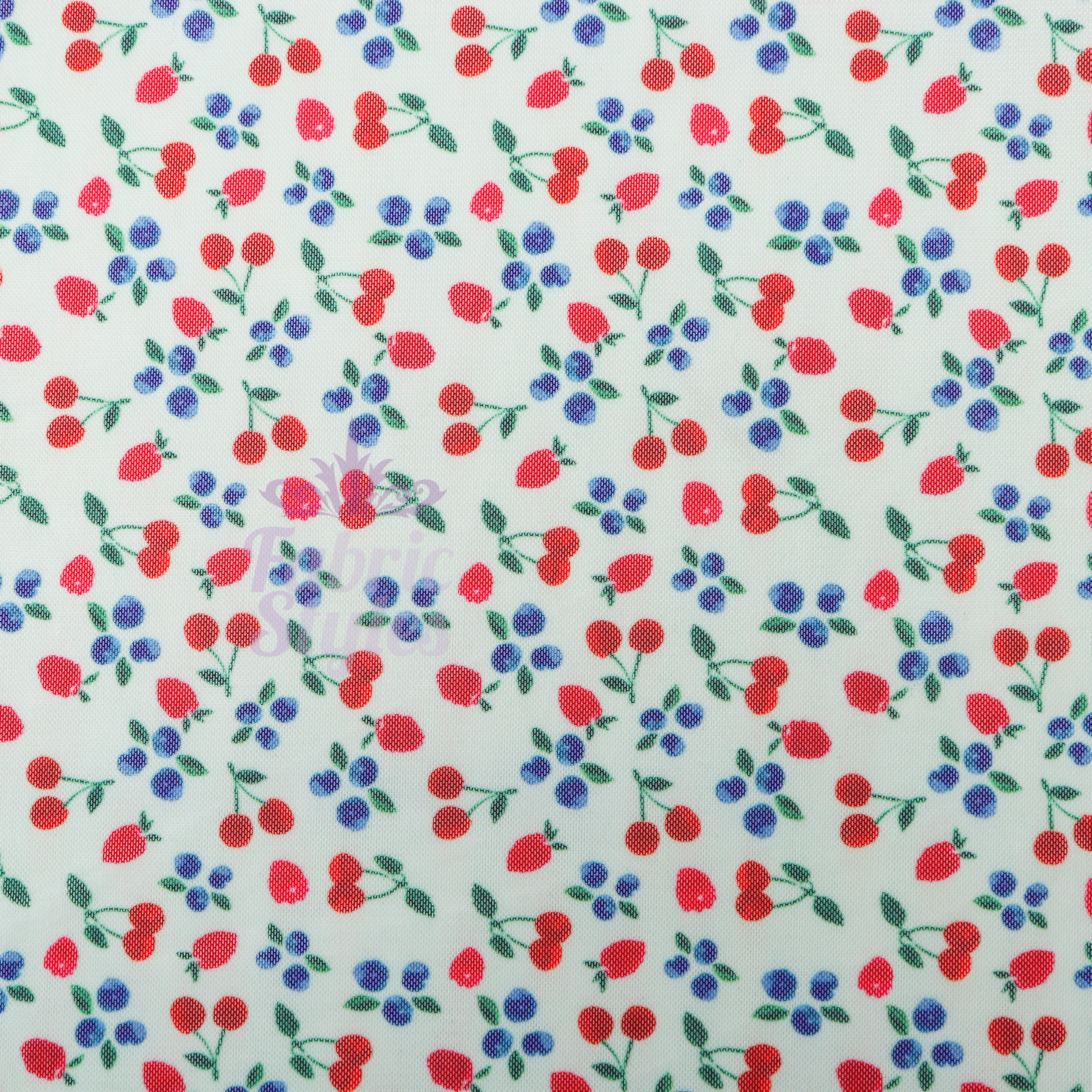Mint Cherries Power Mesh Fabric