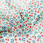 Mint Cherries Power Mesh Fabric