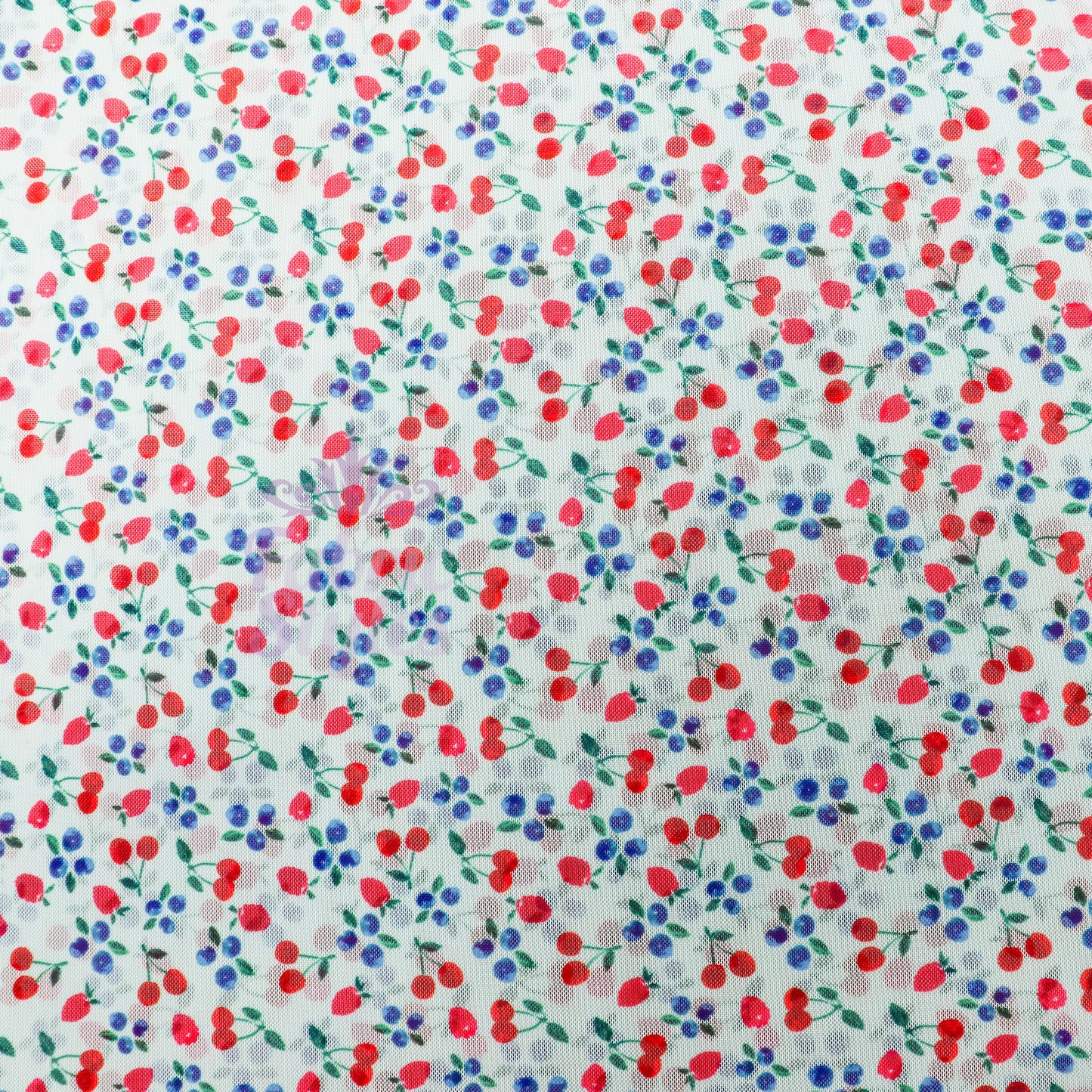Mint Cherries Power Mesh Fabric