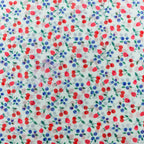 Mint Cherries Power Mesh Fabric