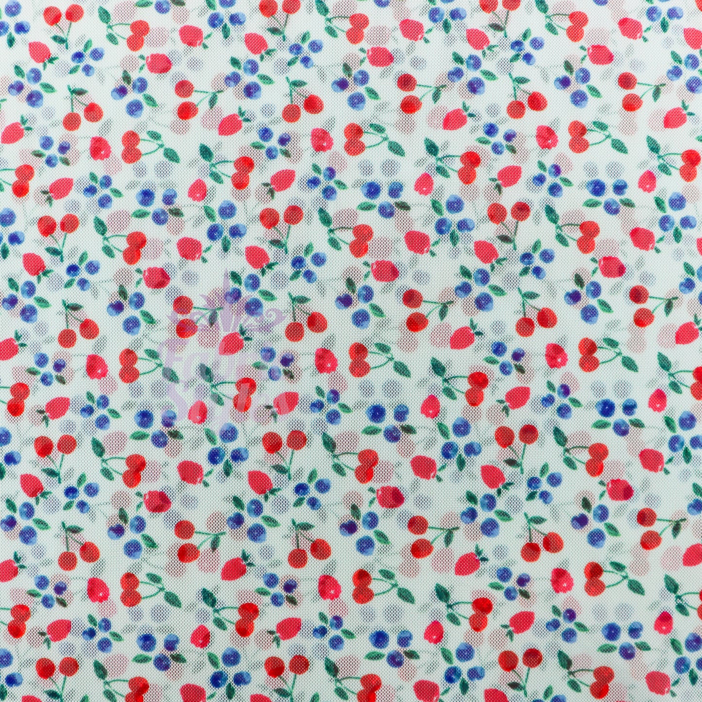 Mint Cherries Power Mesh Fabric