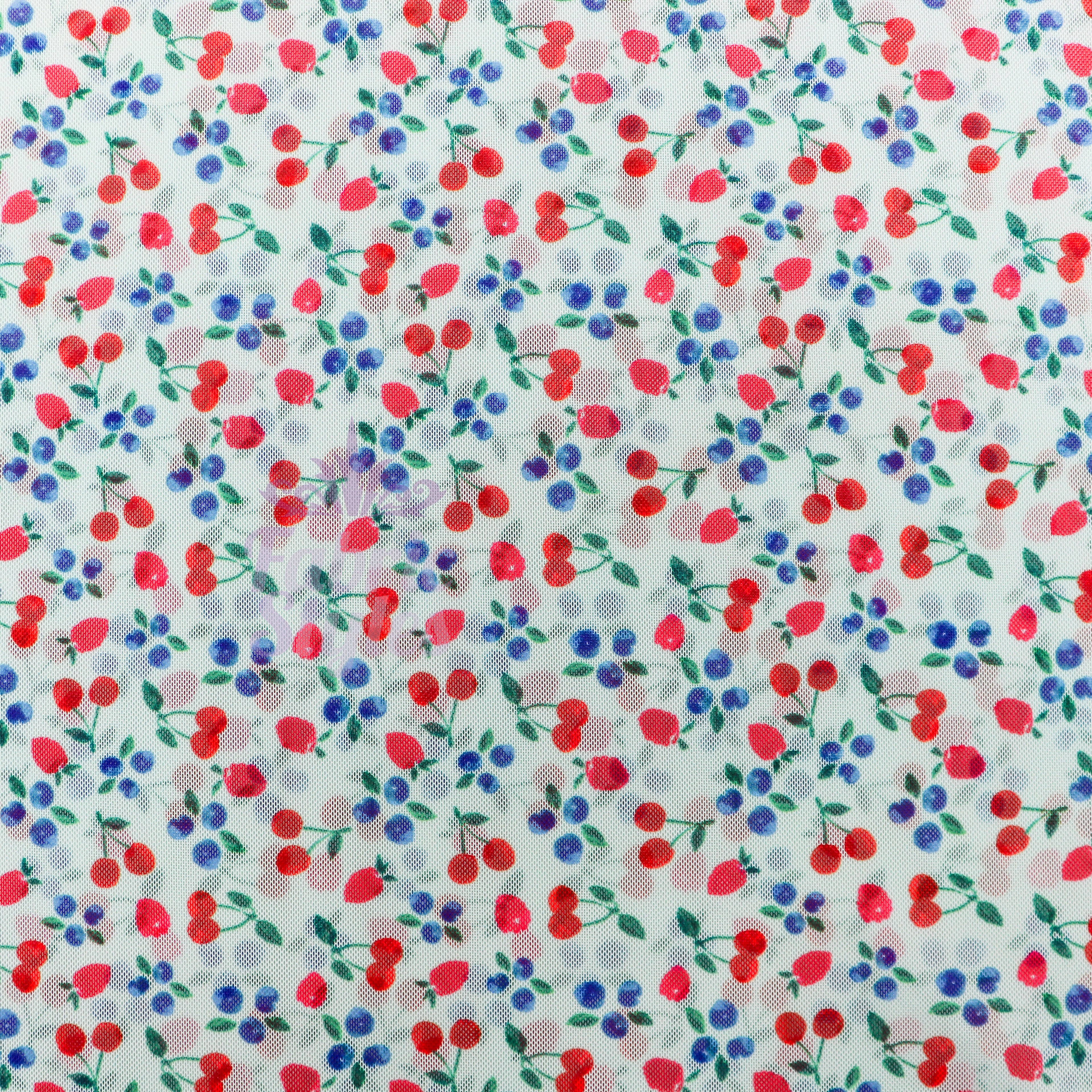 Mint Cherries Power Mesh Fabric