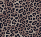 FS1132 Leopard Wave Velvet Stretch Knit Fabric