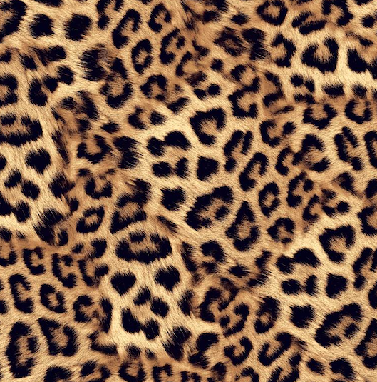 FS1132 Leopard Wave Velvet Stretch Knit Fabric