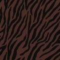 Chocolate Zebra