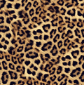 FS1132 Leopard Wave Velvet Stretch Knit Fabric