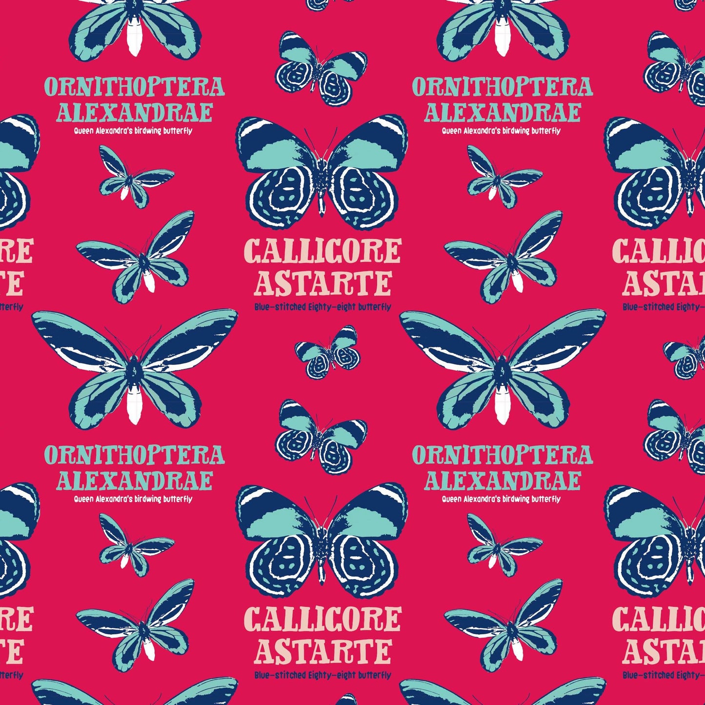 FS653_3 Explore The Tropicals National History Museum - Butterfly | Fabric | Bird, Birds, blue, Butterfly, celebration, children's, Cotton, Cotton SALE, drape, Fabric, fashion fabric, grey, History, History Museum, kid, kids, licensed, Light blue, making, Museum, National, National History, National History Museum, rugby, SALE, sewing, Skirt | Fabric Styles