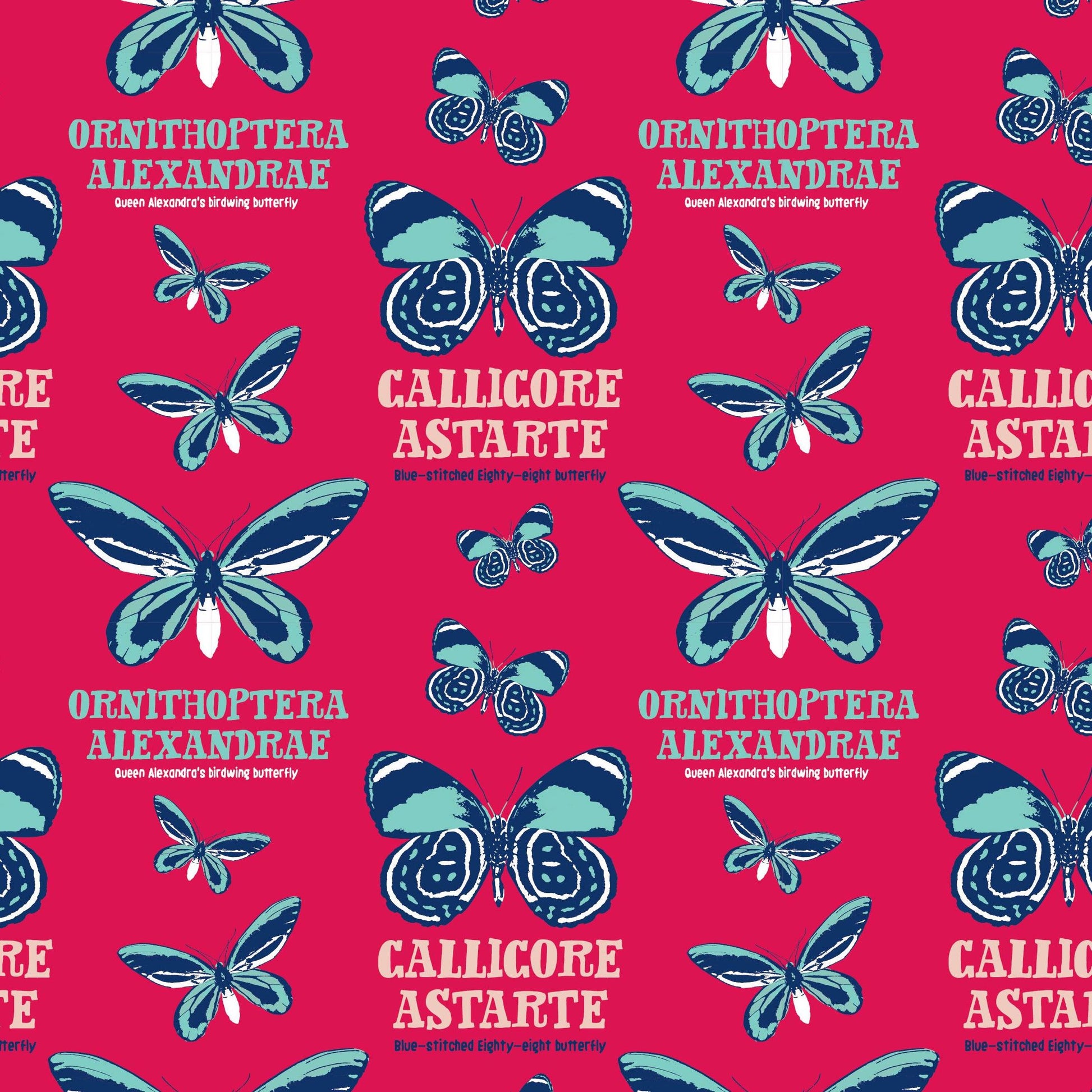 FS653_3 Explore The Tropicals National History Museum - Butterfly | Fabric | Bird, Birds, blue, Butterfly, celebration, children's, Cotton, Cotton SALE, drape, Fabric, fashion fabric, grey, History, History Museum, kid, kids, licensed, Light blue, making, Museum, National, National History, National History Museum, rugby, SALE, sewing, Skirt | Fabric Styles
