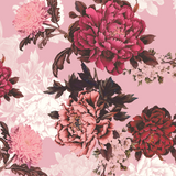 FS363 Zinnia Floral | Fabric | Baby Pink, Big Flowers, dressmaking, elastane, fabric, fabrics, Floral, Flower, Flowers, fs363, leggings, Navy, Peony, pink, poly, polyester, scuba, skirt, stretchy, zinnia | Fabric Styles