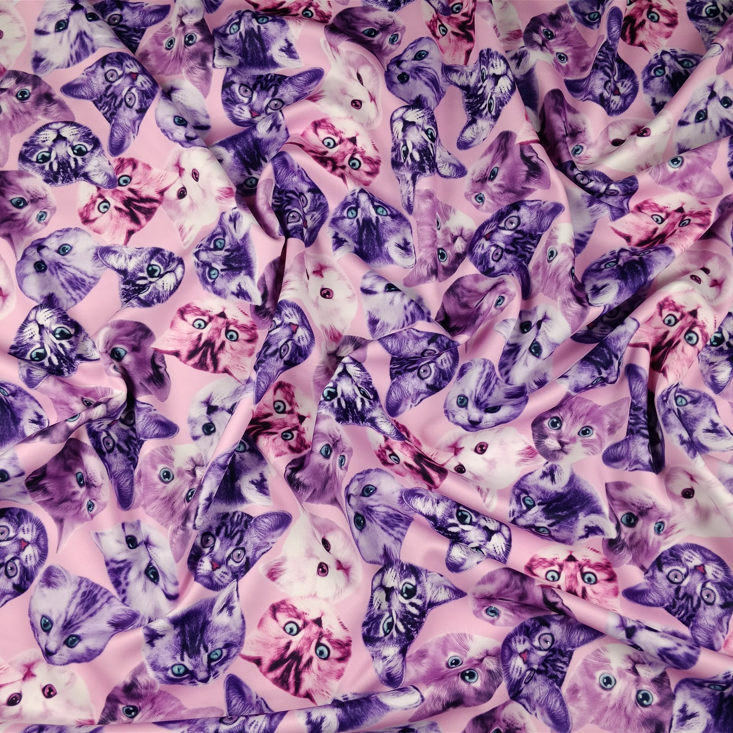 FS205_1 Purple Cats | Animal, Cat, Cats, children's, Conversational, drape, Fabric, fabricstyles, fashion fabric, Kids, Kiten, Kittens, Light Pink, making, Purple, Scuba | Fabric Styles