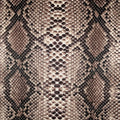 FS062_4 Brown Snake Skin | Fabric Styles