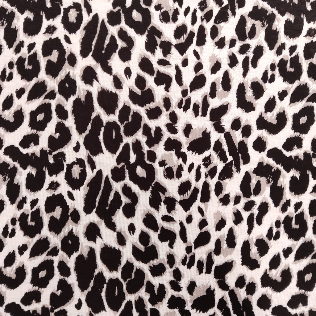 Grey Leopard