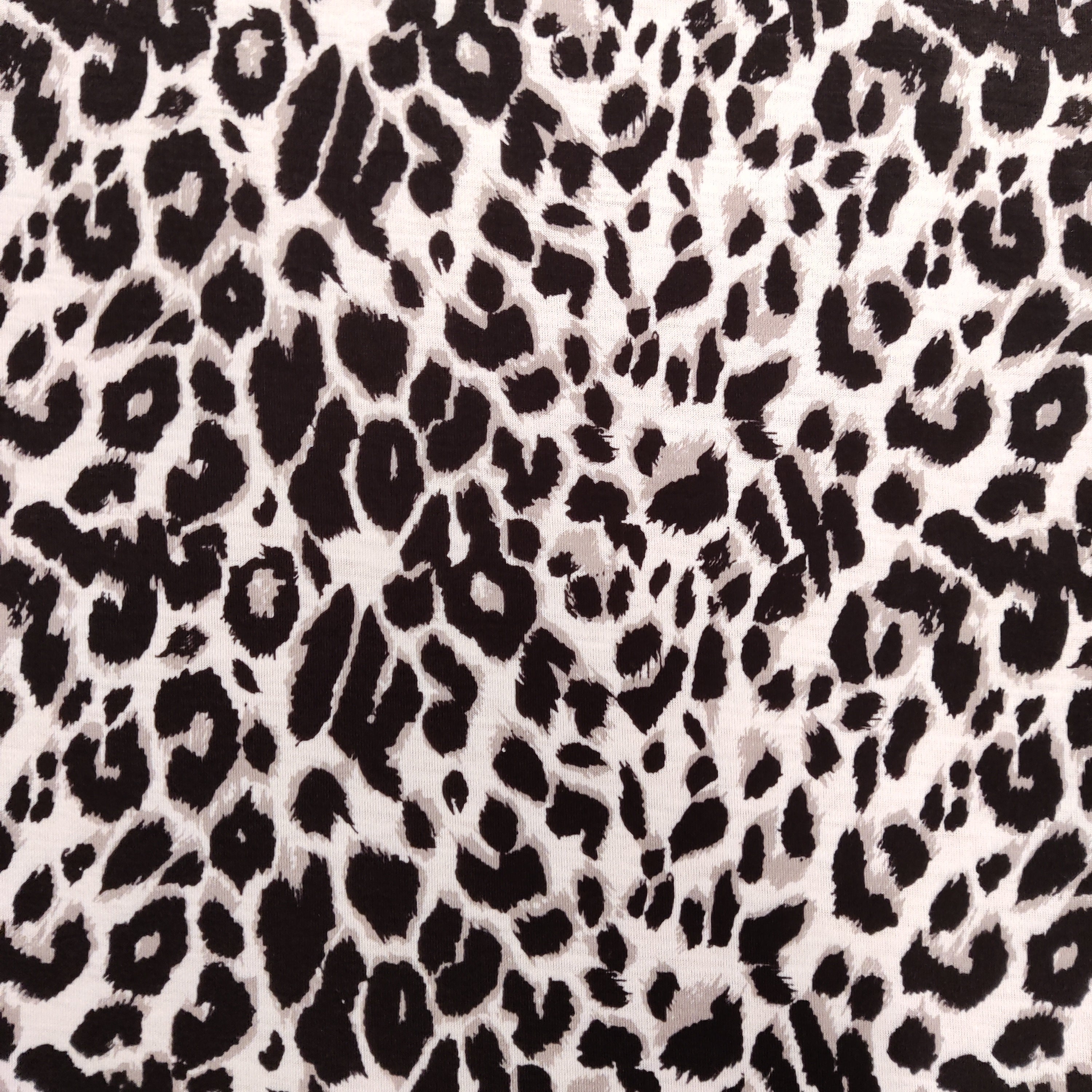 Grey Leopard