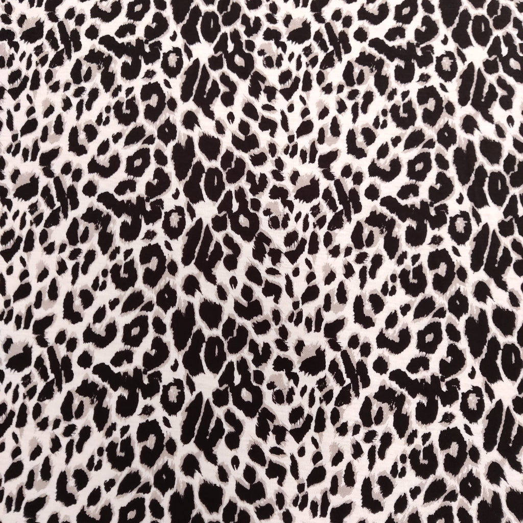 Grey Leopard