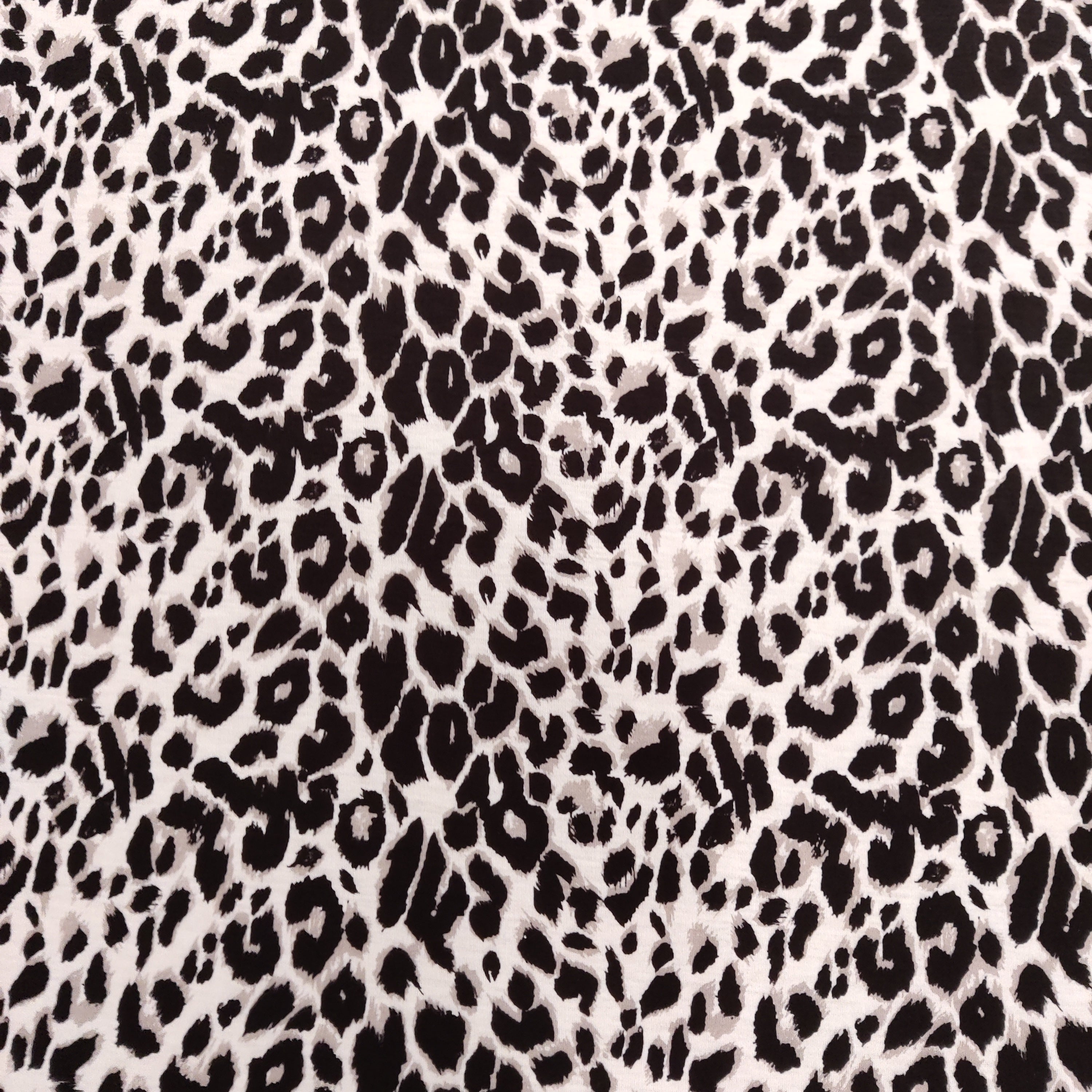 Grey Leopard