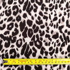 Grey Leopard