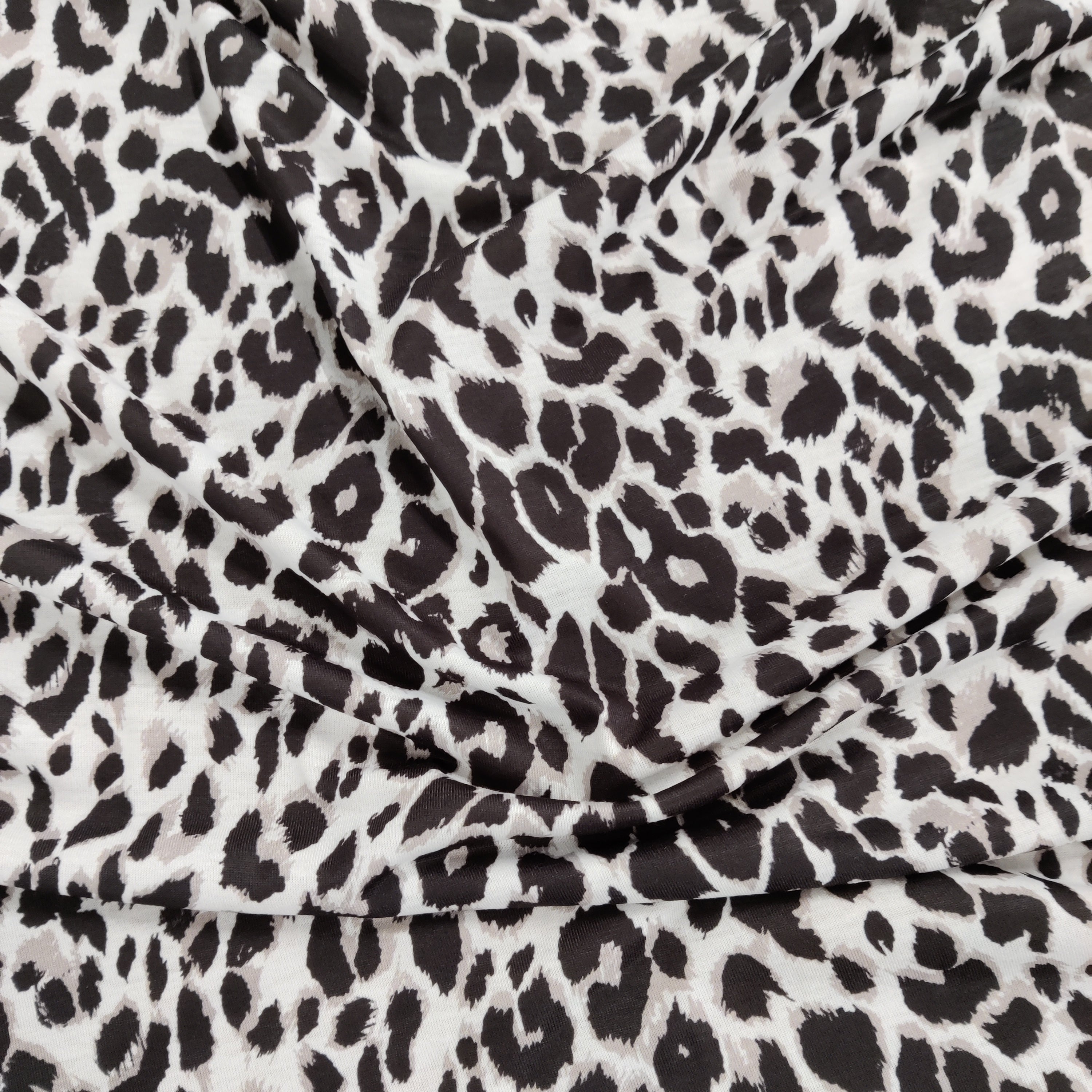 Grey Leopard