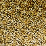 FS1132 Leopard Wave Velvet Stretch Knit Fabric | Fabric | Animal, blue, fabric, Leopard, teal, Velour, Velvet | Fabric Styles