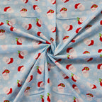 FS1160 Christmas Santa Snowglobes Cotton Fabric Blue | Fabric | 100% Cotton, Christmas, Cotton, drape, Fabric, face, fashion fabric, Hat, making, Reindeer, sewing, Sledge, sleigh, Snake, Snow, Snowflake, snowflakes, Snowing, Snowman, Snowmen, Stars, xmas | Fabric Styles
