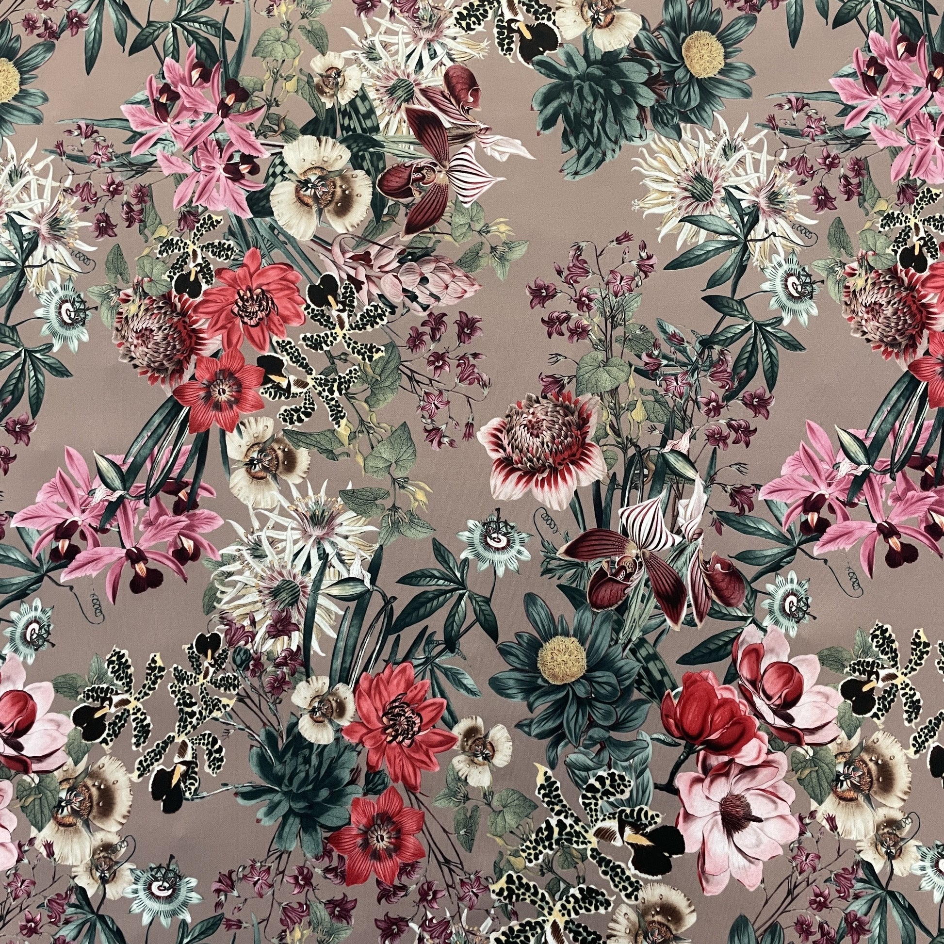 FS833 Mocca Floral | Fabric | fabric, Flower, jersey, Mink, Mocca, scuba, stretch, Taupe | Fabric Styles
