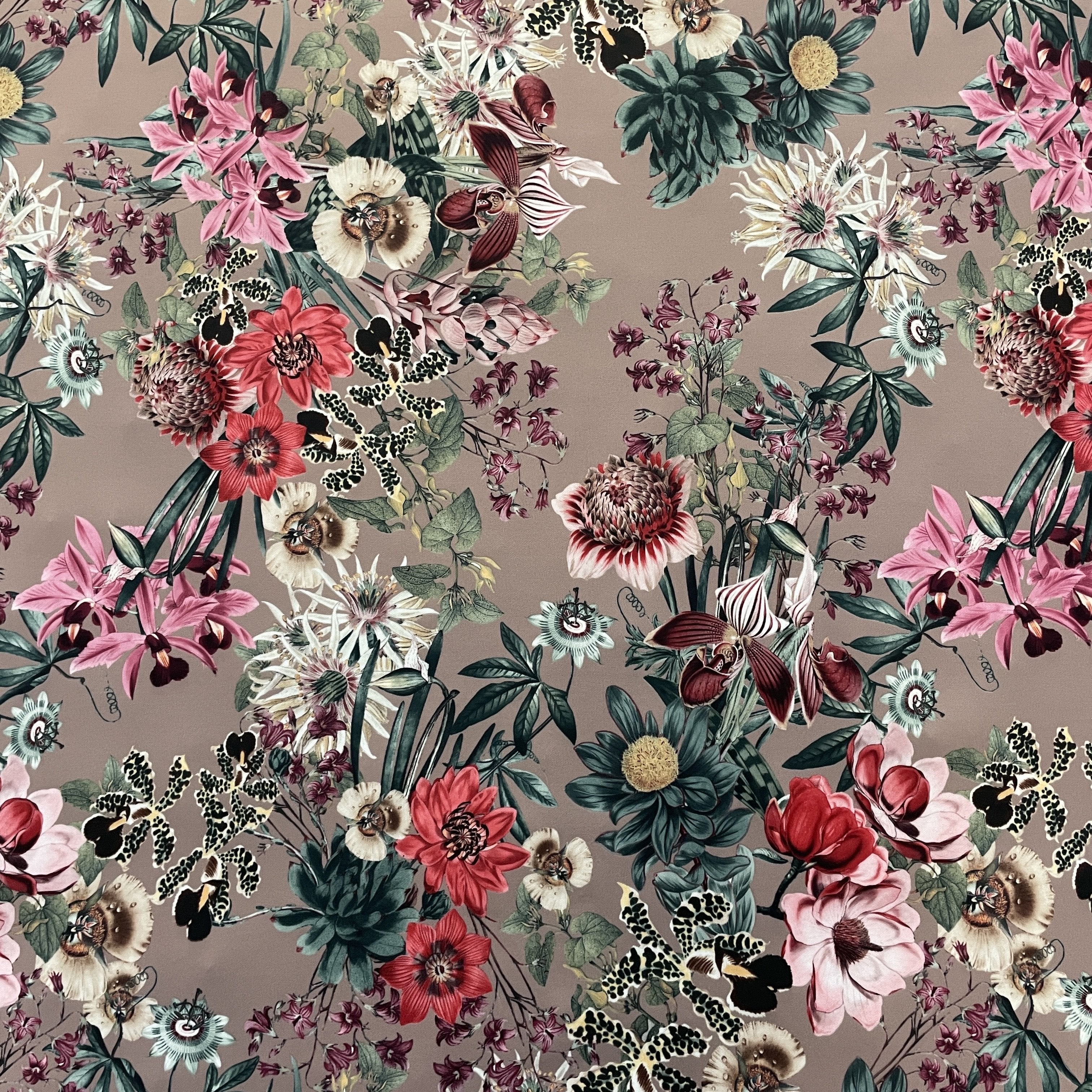 FS833 Mocca Floral | Fabric | fabric, Flower, jersey, Mink, Mocca, scuba, stretch, Taupe | Fabric Styles